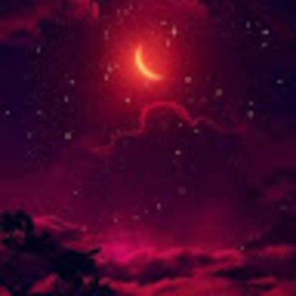 Meet your Posher, Kota - Picture 1 of 1